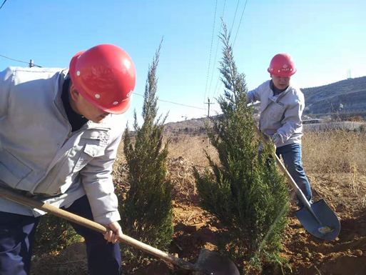 ֲ����������ʱ������ɽ���������š����ж���