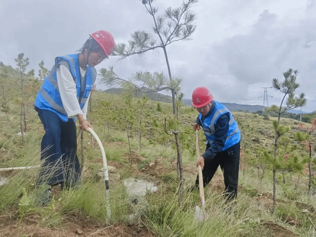 ������ʱ�������ǲ���(�й���)�ٷ���վ