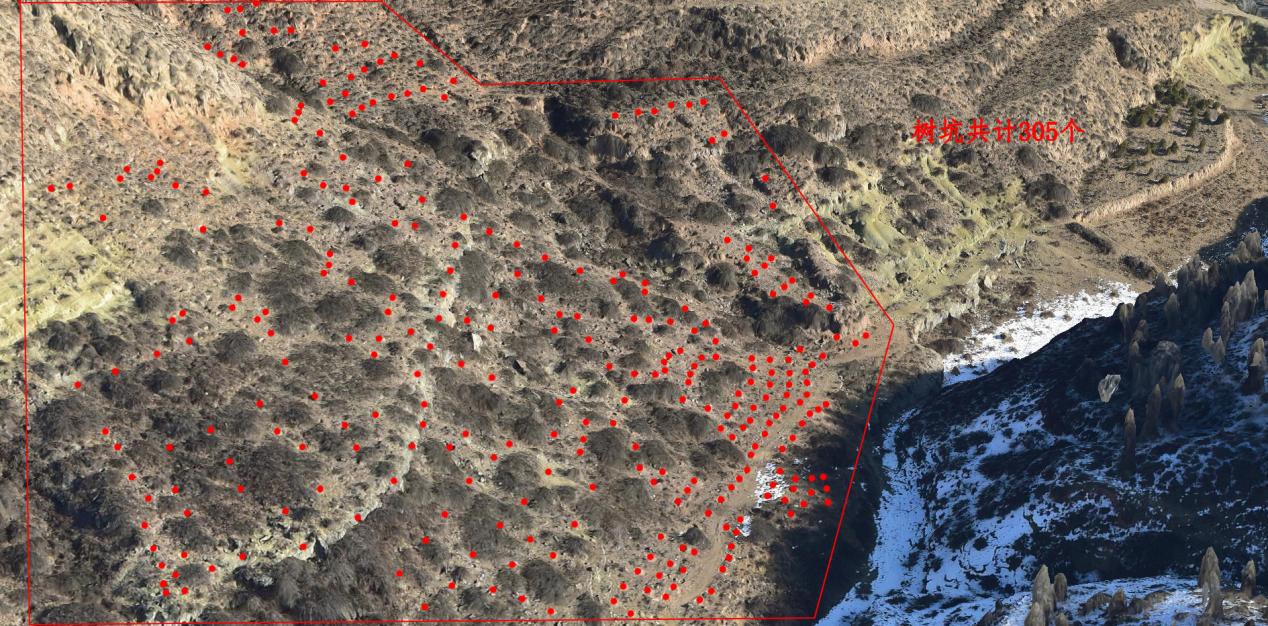 ������ʱ�������ǲ���(�й���)�ٷ���վ