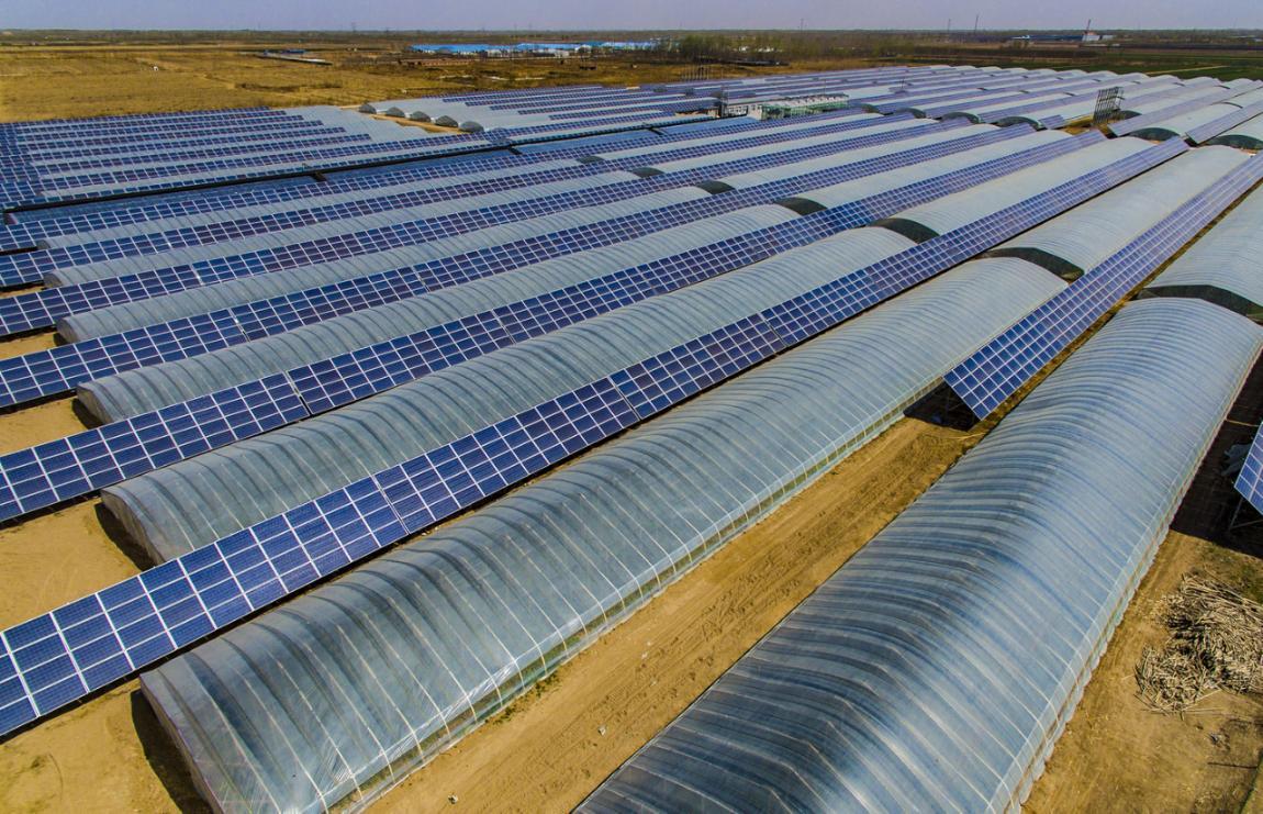 ��7�ڣ�ɽ����Ͷװ�ü��Ž����б�ʡ����Ŀ