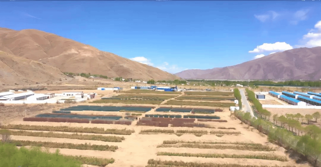 ������ʱ�������ǲ���(�й���)�ٷ���վ